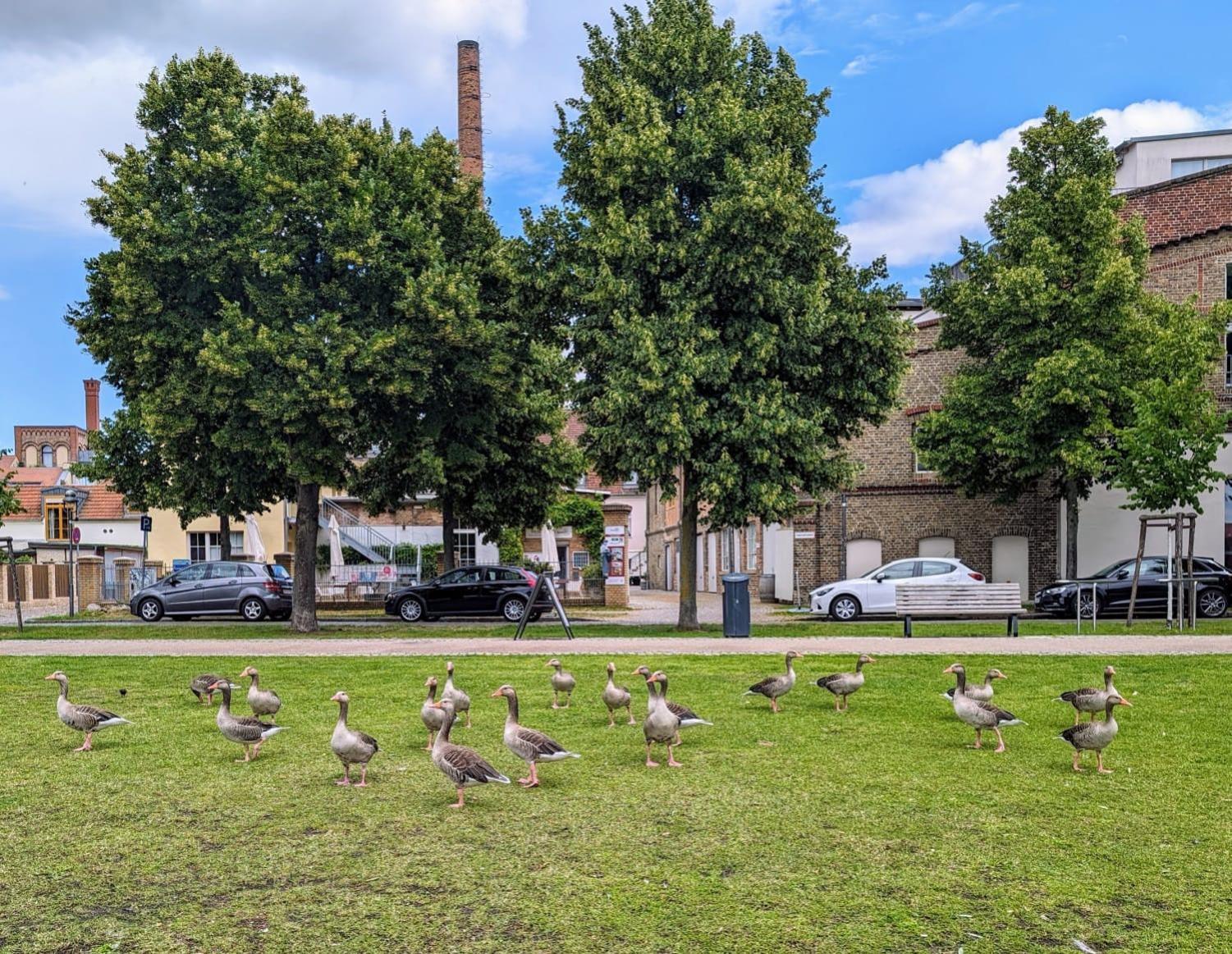 Lendelhaus & Historische Saftfabrik Werder Lägenhet Werder  Exteriör bild